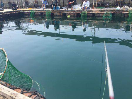 釣り堀シマアジ