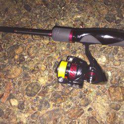 メバルを釣りたくて！