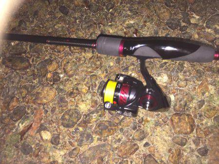 メバルを釣りたくて！