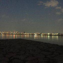 マイクロパターン