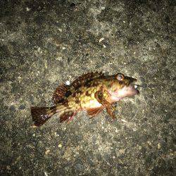 ちょっとづつ‥