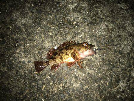 ちょっとづつ‥