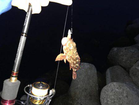 赤潮なんて！！