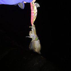 思ったよりうねりが・・・