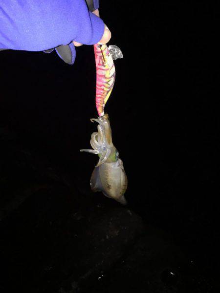 思ったよりうねりが・・・