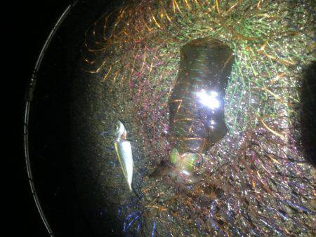 雨、風の中頑張りました。