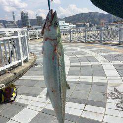 恐るべしビギナーズラック