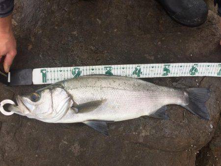 チョットサイズアップ