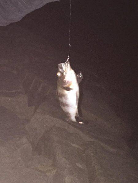 初めての阪神エリア