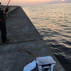 ノッコミ開始！