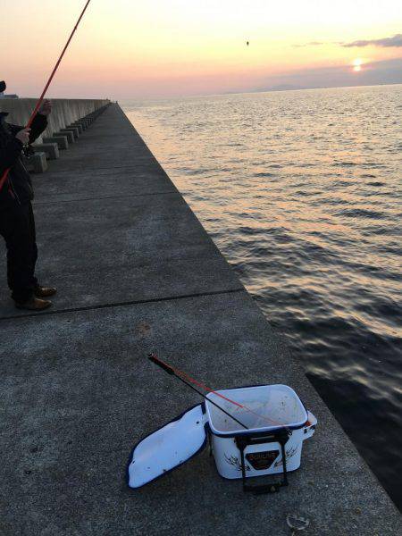 ノッコミ開始！