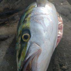 ショアプラッキング