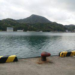 本命釣りたい②