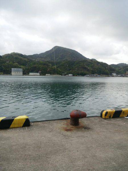 本命釣りたい②