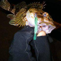 ドリームアップ