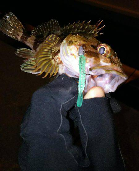 ドリームアップ