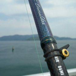 なんとか一杯 確保