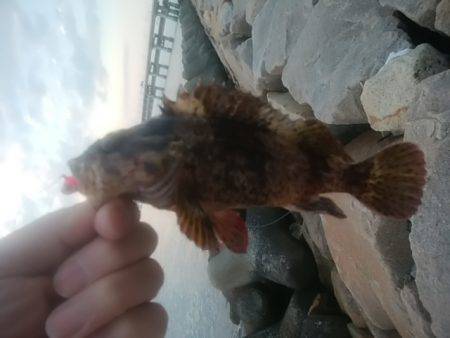 穴釣りのちメバリング