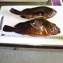 フロートゲーム