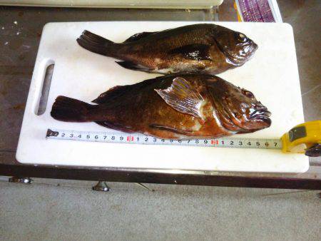 フロートゲーム