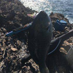 1ヶ月ぶりの磯釣り