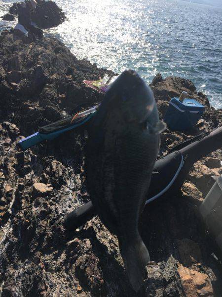 1ヶ月ぶりの磯釣り