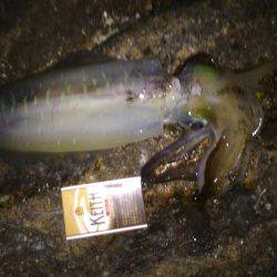 初めての場所で