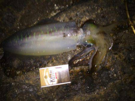 初めての場所で