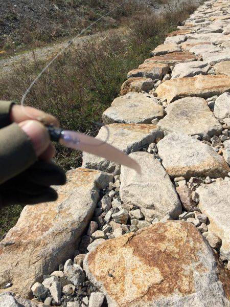 マゴチングデビュー！