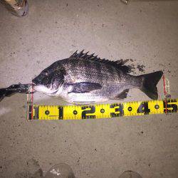 バチバチバチバチバチバチバチバチババチバ