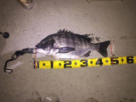 バチバチバチバチバチバチバチバチババチバ