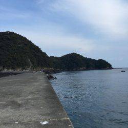 ヤエン短時間勝負