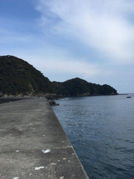 ヤエン短時間勝負