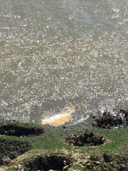 磯津でショアジギ！