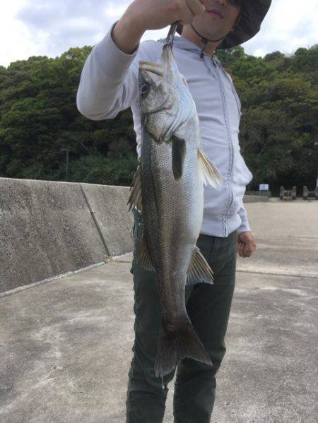 イカは釣れず…