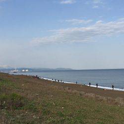 イナダは渋め…