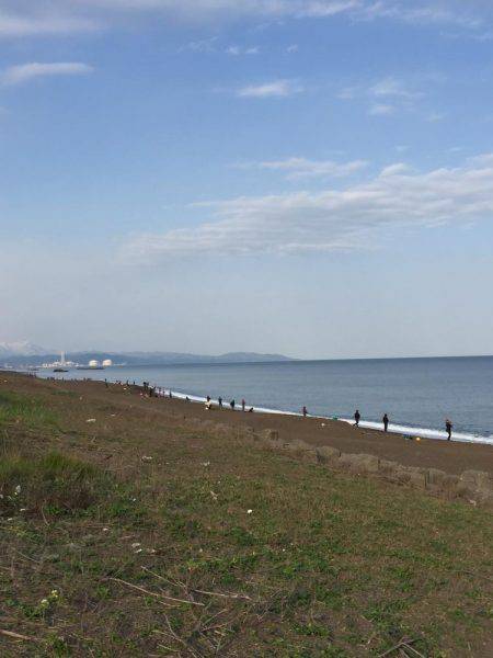 イナダは渋め…