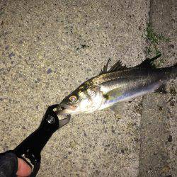 タイミングは大事です。