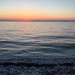 渋かった・・・