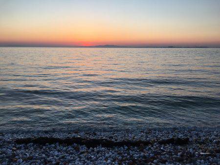 渋かった・・・