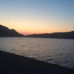 狙いとは違うが嬉しい1匹！