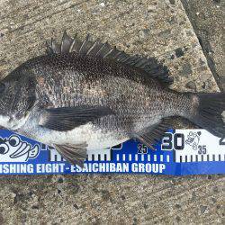 落とし込みにー！