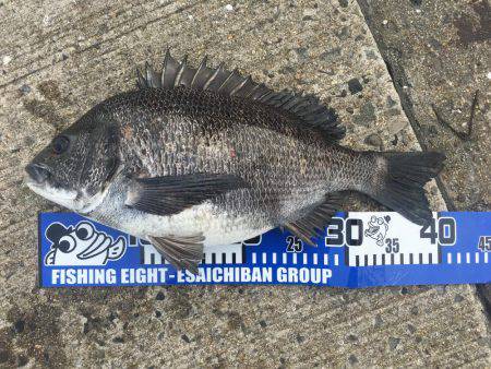 落とし込みにー！