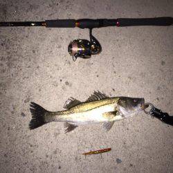 チーバスだなー