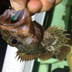 ライトワインドチャレンジ