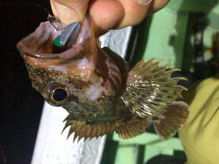 ライトワインドチャレンジ