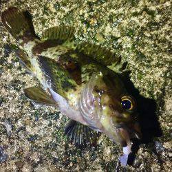 グランドスラム