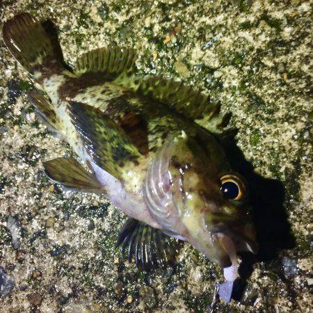 グランドスラム