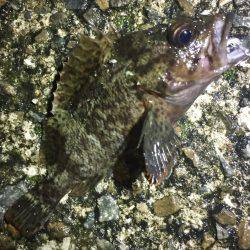 マイクロサイズ