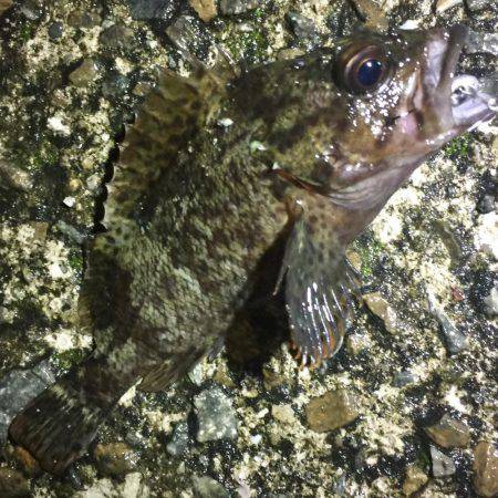 マイクロサイズ